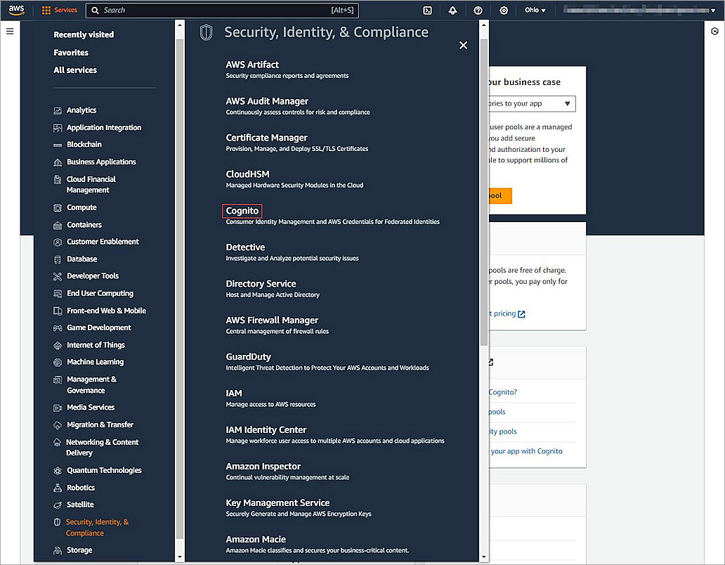Screenshot of access cognito.